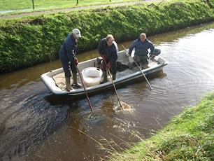 Nieuw visverslag van de monitoringsploeg Veluwe