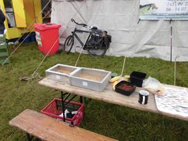 10918952 1628266834089877 7960329510144599782 o