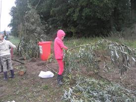 12132603 1628276314088929 5456867606956075828 o