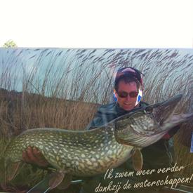 20140531_091554215_iOS (Large)