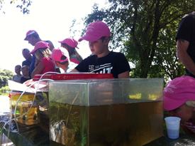 20140531_093054123_iOS (Large)