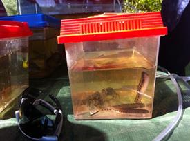 20140531_093143833_iOS (Large)