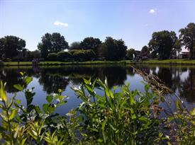 20140531_101530482_iOS (Large)