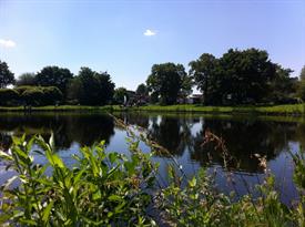 20140531_101544169_iOS (Large)