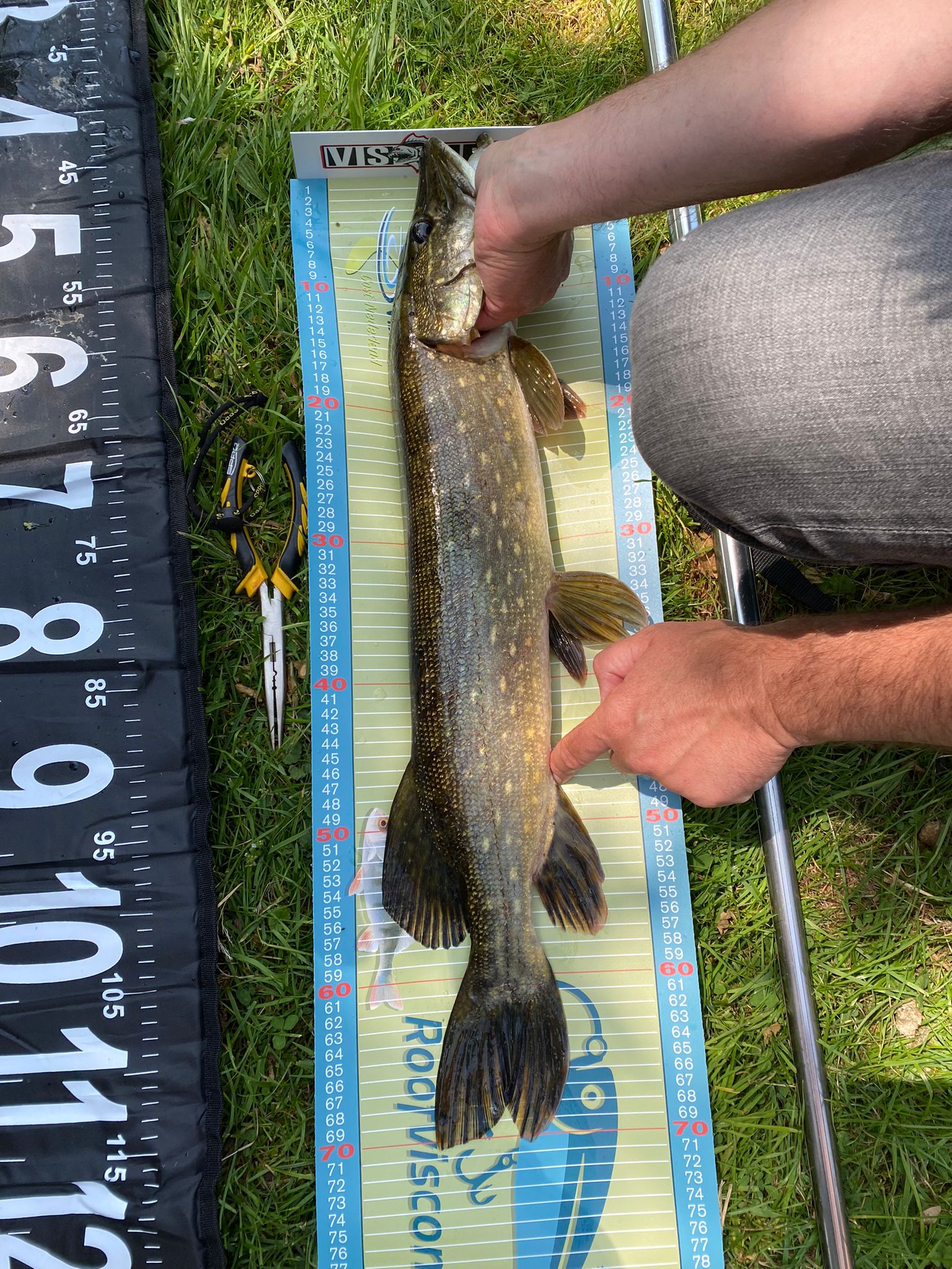 237e4ce1-4eca-4e85-9df1-bfcb3f5b6aa1.jfif