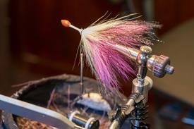 _JOW4110 (Groot).jpg