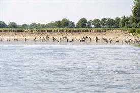 _JOW4188 (Groot).jpg