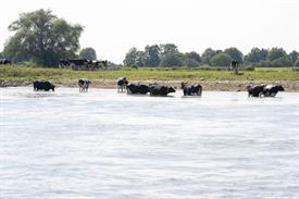 _JOW4190 (Groot).jpg