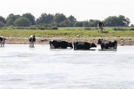 _JOW4191 (Groot).jpg