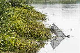 _JOW4221 (Groot).jpg