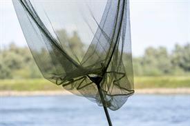 _JOW4270 (Groot).jpg