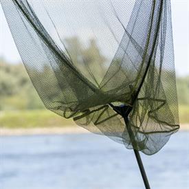 _JOW4271 (Groot).jpg