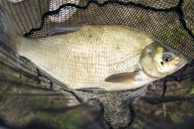 _JOW4431 (Groot).jpg