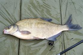 _JOW4463 (Groot).jpg