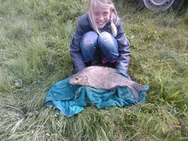 A. Luinge - Sharon met brasem