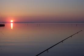 Albert ten Hove - karpervissen Balatonmeer (Large)