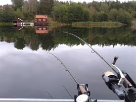 Albert ten Hove - trollen bij Loftahammar Zweden (Large)