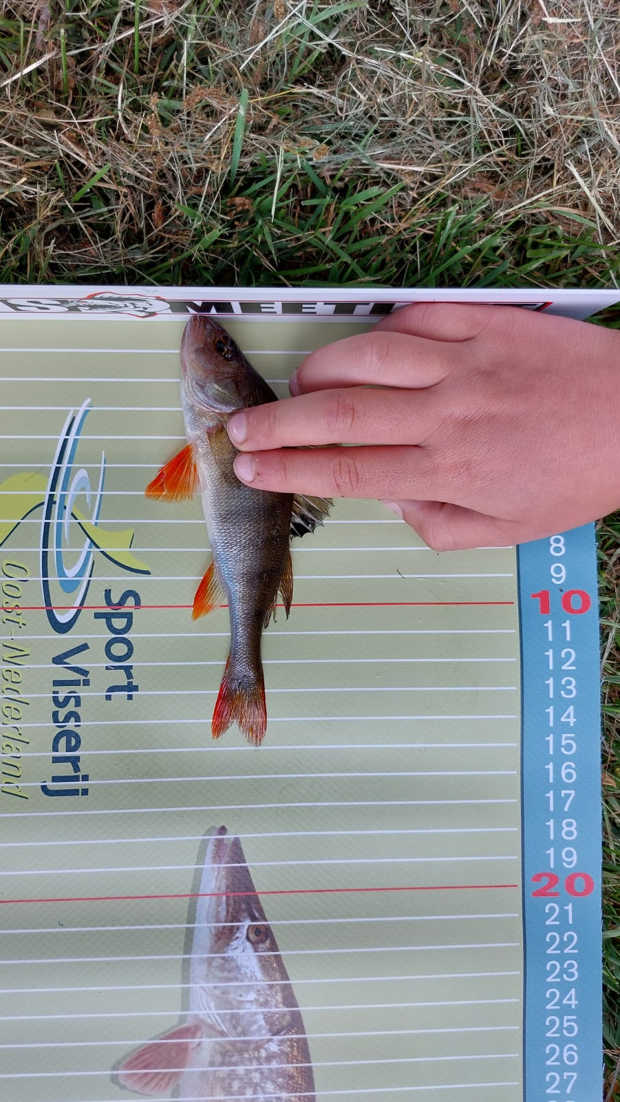 c4499b3c-3ed0-486f-9c2a-4d30decce440.jfif