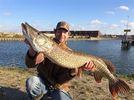 Harold Goelema - Wintersnoek op dood aas (Large)