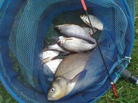 Henk Kuipers - matchvissen in de Regge