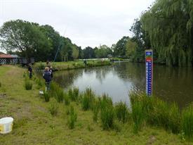 Herschaalde kopie van P1010244