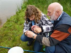 Herschaalde kopie van P1010248