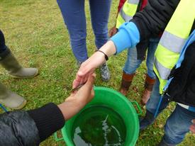 Herschaalde kopie van P1010477