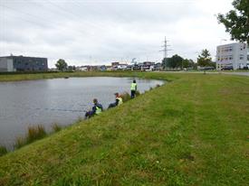 Herschaalde kopie van P1010483