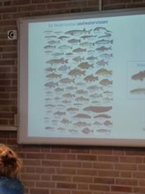 Herschaalde kopie van P1010876 (Small)