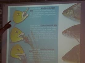 Herschaalde kopie van P1010886 (Small)