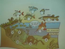 Herschaalde kopie van P1010887 (Small)