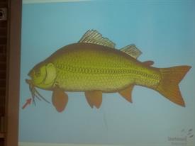 Herschaalde kopie van P1010890 (Small)