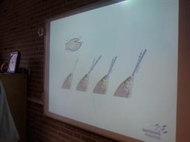 Herschaalde kopie van P1010913 (Small)