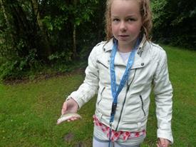 Herschaalde kopie van P1010936 (Small)