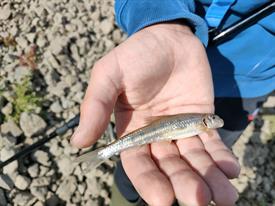 IMG20221001135114 (Middel).jpg