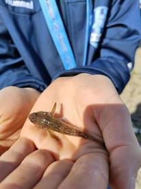 IMG20221001144212 (Middel).jpg