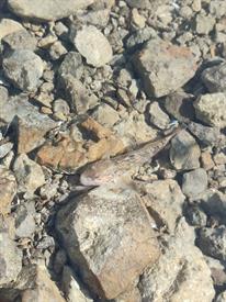 IMG20221001144239 (Middel).jpg