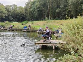 IMG20230920171505 (Groot).jpg