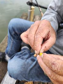 IMG20230920173018 (Groot).jpg