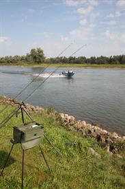 IMG_0952 (Groot).JPG