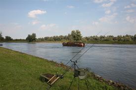 IMG_0958 (Groot).JPG