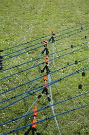 IMG_0988 (Groot).JPG