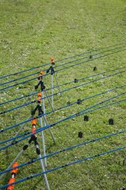 IMG_0989 (Groot).JPG