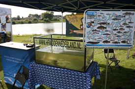 IMG_0991 (Groot).JPG