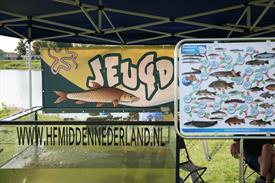 IMG_0993 (Groot).JPG