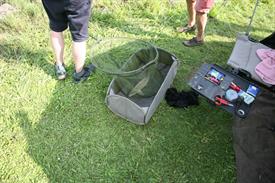 IMG_0998 (Groot).JPG