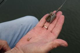 IMG_2034 (Groot).JPG