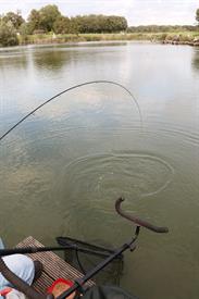 IMG_2037 (Groot).JPG