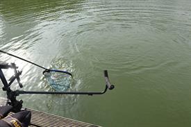 IMG_2103 (Groot).JPG