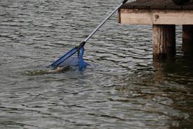 IMG_2187 (Groot).JPG